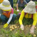 빗돌배기마을 이미지