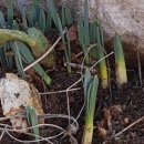 알이랑농장 이미지