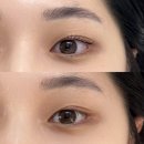챈브로우 | [내돈내산][상봉] 속눈썹 펌은 여기, #챈브로우