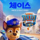 씨티퍼피 이미지