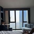 미쉘레지던스 | 석촌호수 바로 앞 '소피텔 앰배서더 서울 잠실' 호텔 솔직후기(1) (클럽밀레짐 객실, 라티튜드32)