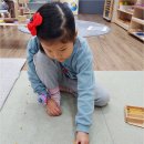 몬테소리 마마몽떼 플라이 프리미엄 영유아교육으로 똑똑하게