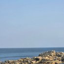 가도 | 강원도 고성 카페가도 후기｜해돋이 명소 오션뷰 카페