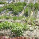 문양농장 이미지