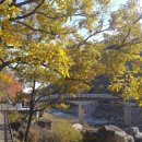 거창-위천-5 이미지