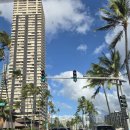 일진농장2 | [하와이 오아후 여행 3일차 일정] 샥스코브-돌플랜테이션-와이켈레 아울렛