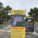 산내로 | 강아지랑 대전 근교 캠핑! 캠프향기 글램핑 내돈내산 이용 후기🐶✨