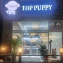탑 퍼피(TOP PUPPY) 이미지