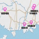 경남낙우회영농조합법인 | 식목일에 뭐하세요? 경남 부산 화훼단지 5곳 총정리