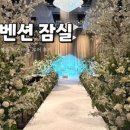 더컨벤션잠실·빌라드지디·보타닉파크… 서울 웨딩 최신 소식 총정리