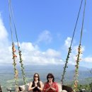 충만치킨(동부점) | 딸과 함께한 예술과 힐링의 도시 발리 우붓 여행기 2편｜한국어 가이드 프라이빗 투어로 떠난 렘푸양...