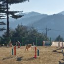 조이스포츠클럽 이미지