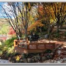 화가의정원 이미지