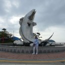 큰처형과 임자도 이미지