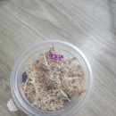 용자농장 | 용자삼촌 등각류 농장 후기