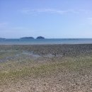 왜목빌리지 이미지