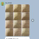 Ted K | 통번역대학원 서울외대 k님 합격후기