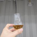 조니 | 시음 후기 : 조니워커 블루라벨 고스트 앤 레어 포트 던다스