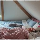 더조은풀빌라 이미지