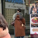 유채꽃이 혼자 피나 꼭 떼로 피지