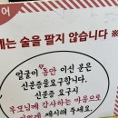 다모아식당 | 강원도 강릉 세인트존스호텔 파라다이스호텔 근처 숨겨진 나만의 장치찜 대구탕 맛집 다모아식당 방문후기