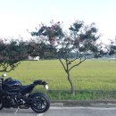 죽변오토바이