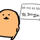 이치로카츠 이미지