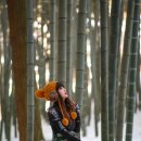 죽림2로 이미지