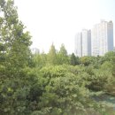 지선메디칼 이미지