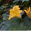 매봉약수 이미지