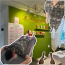 진아로마 - 전주시 완산구 홍산중앙로 30 | 양주옥정체형관리 진아로마 남편 전신케어 1인실 방문 후기
