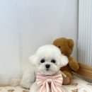 묭데이