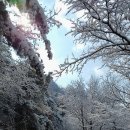 삼막사