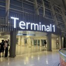 484 | 필리핀 세부 인천공항 필리핀항공 PR484 PR485 기내식 좌석 후기