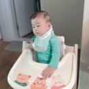 연무도서관 | 8개월 아기 고열 파라 인플루엔자 증상 기간 입원 치료 후기