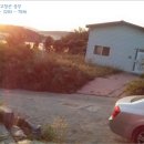 윤성골프연습장 이미지