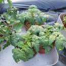 포우농장 이미지