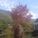 청풍펜션 이미지