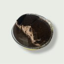 GS25 편의점 신상 디저트 로로멜로 아이스 브륄레 초코맛 (가격,칼로리,영양정보,후기)