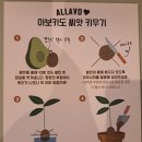 (주)샐러드볼크리에이티브 | [여의도맛집] 아보카도가 어우러진 샐러드, &#39;알라보&#39; 여의도점