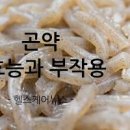 곤약 먹으면 효능 칼로리 안효능 이미지