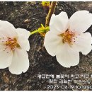 광교천 이미지