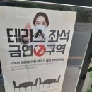 카몽