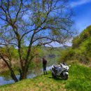 THE SPRING 이미지