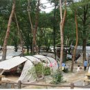 소백산 남천야영장1 이미지