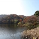 호암정원 이미지