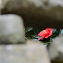 부동산중개사람 이미지