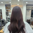 살롱드 마잘 ) 코코넛 브라운 뿌리염색