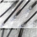 살롱비 이미지