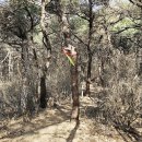 대부도고랫부리섬생태관광마을 | 독도바다낚시터 입구-해솔길캠핑장-구봉도 낙조전망대-북망산-방아머리해수욕장-대부도관광안내소 여행기록